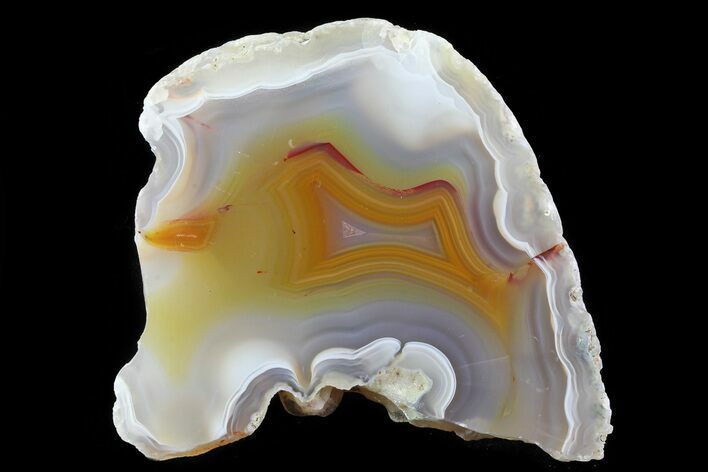 Beautiful Condor Agate From Argentina - Cut/Polished Face #79521